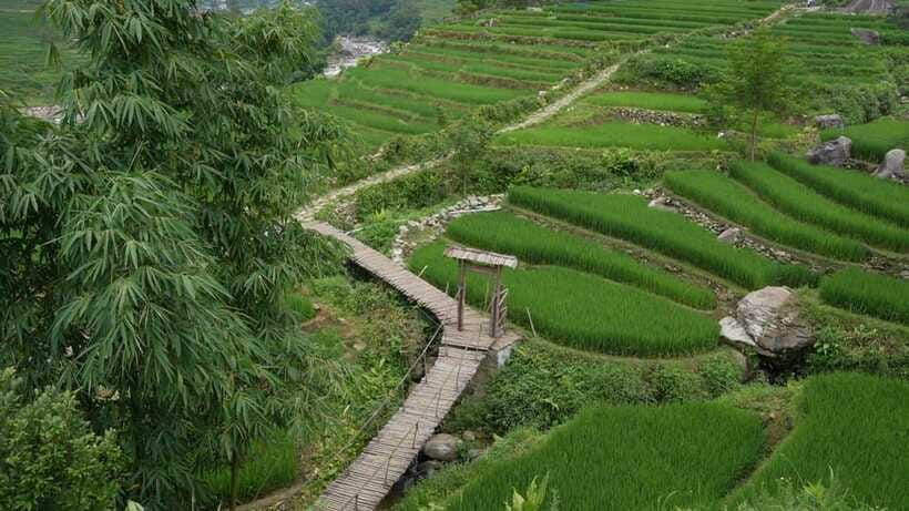 Easy Trek in Sapa mountain : Y Linh Ho - Lao Chai - Ta Van - Guides, group size, and the human side