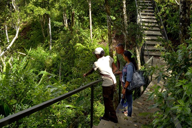 Ebony Forest Reserve Chamarel - Take a Hike Tour - Wildlife, weather, and what to pack