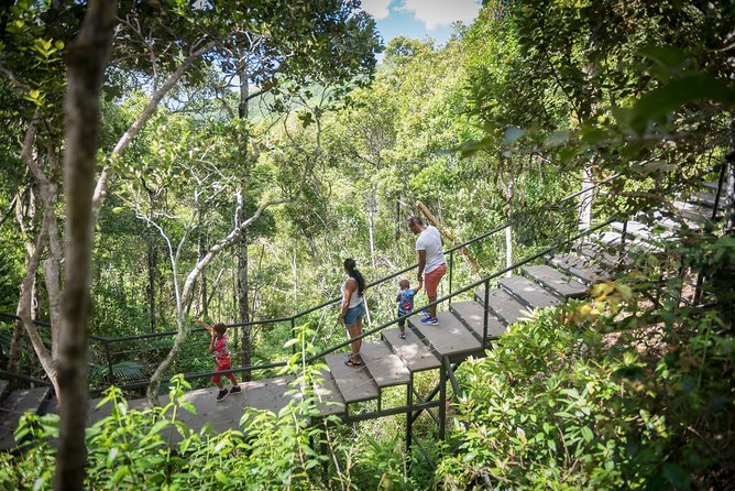 Ebony Forest Reserve Chamarel - Take a Hike Tour - What the $10.47 price really covers