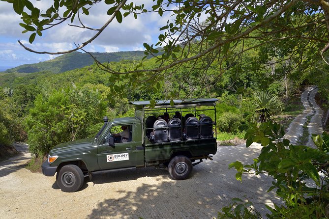 Ebony Forest Reserve Chamarel - Take a Hike Tour - How to fit the reserve into a Chamarel day