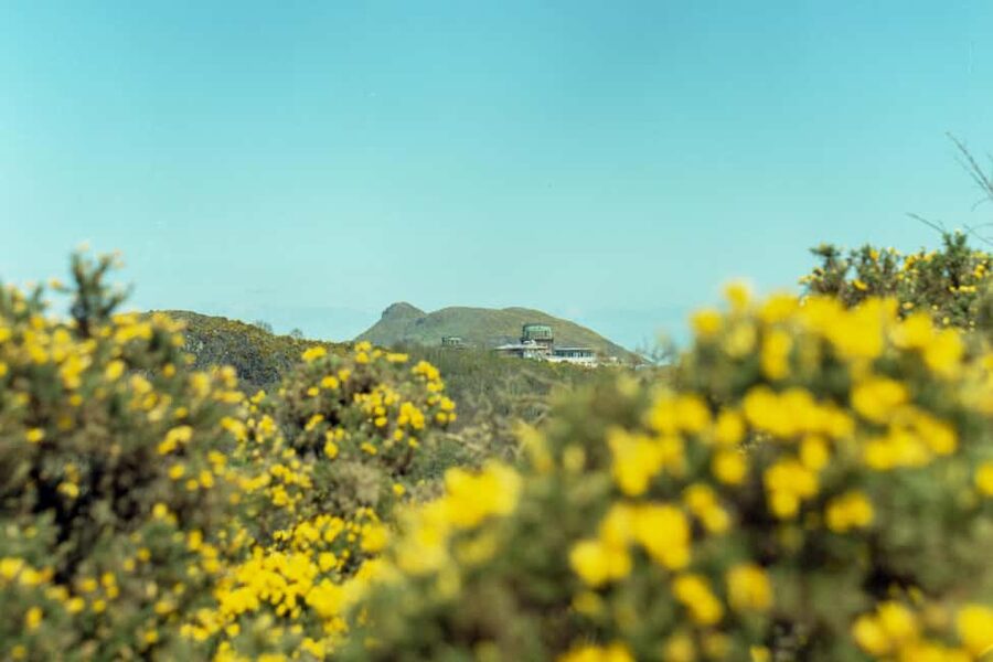 Edinburgh: Arthur's Seat Sunrise Hike with Mountain Guide - Final verdict: a smart way to see Edinburgh from above