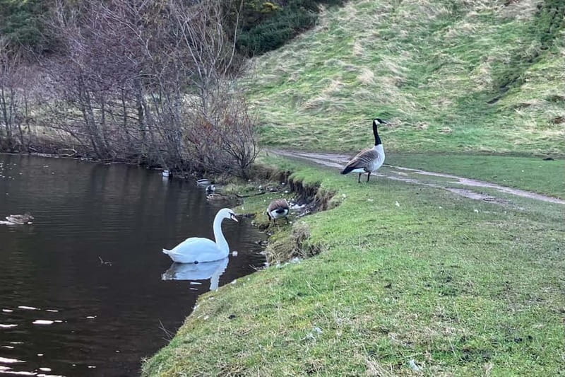Edinburgh: Hike Arthur's Seat & Calton Hill - What Lewis Adds to the Walk