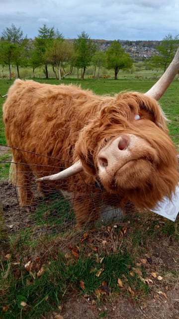 Edinburgh: Hill & Nature Hike With a Local - Snacks, bus travel, and the real value of $116