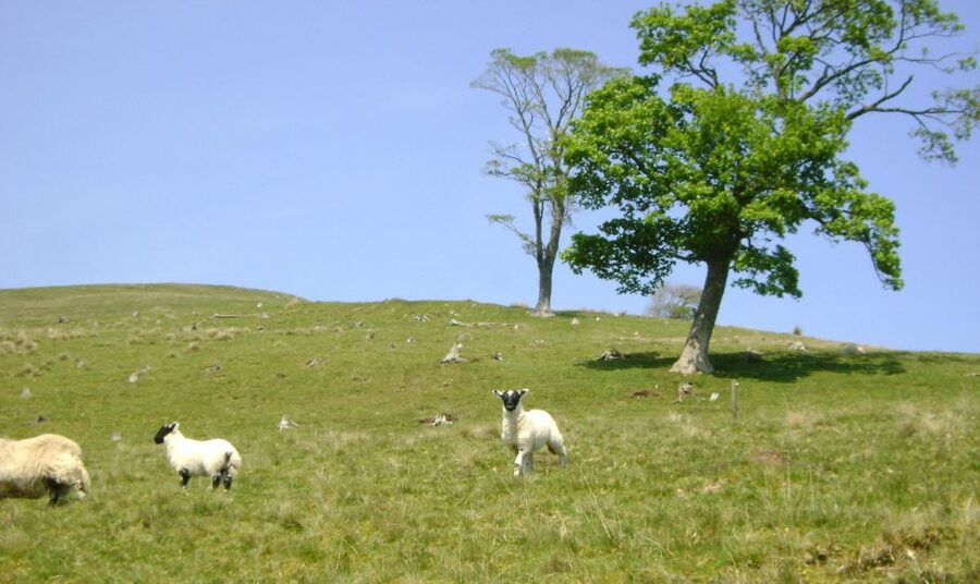 Edinburgh: Hill & Nature Hike With a Local - Weather, clothing, and comfort on exposed hills