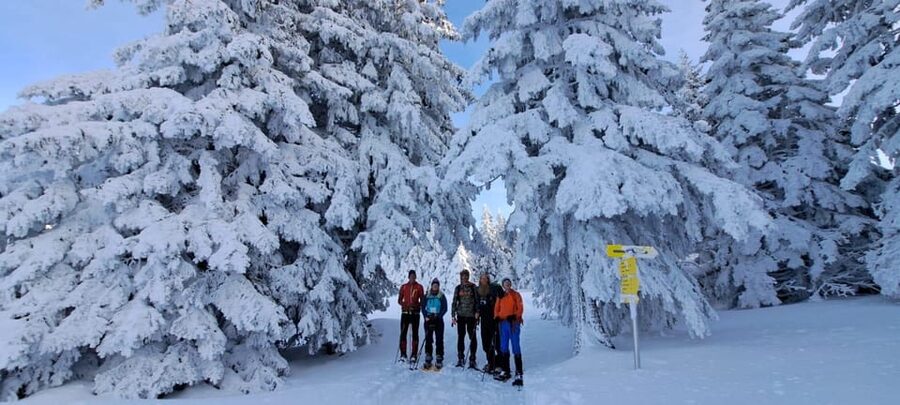 Ehrwald: Zugspitze Snowshoe Hiking Tour with Mountain Views - At a glance