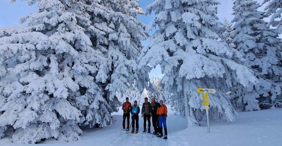 Ehrwald: Zugspitze Snowshoe Hiking Tour with Mountain Views - Should you book the Zugspitze snowshoe hike?