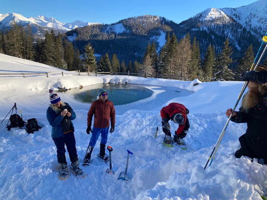Ehrwald: Zugspitze Snowshoe Hiking Tour with Mountain Views - Wildlife, snow conditions, and the value of a local guide