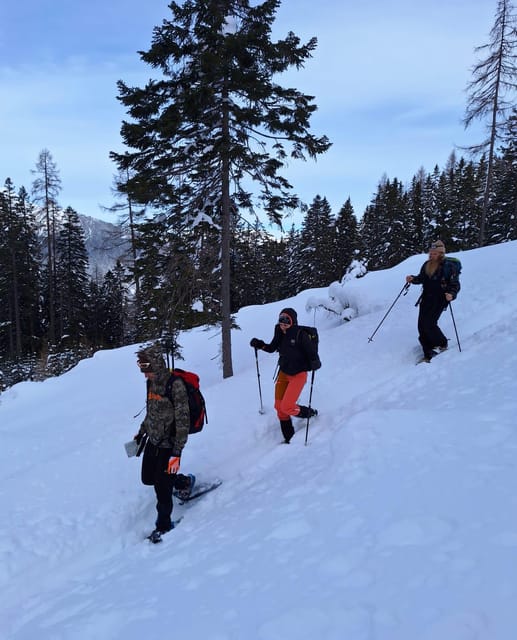 Ehrwald: Zugspitze Snowshoe Hiking Tour with Mountain Views - What to wear and carry from Ehrwald