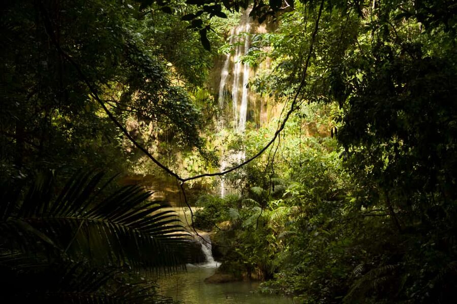 El Limón: Waterfall Hiking Tour with Lunch - Key points to know before you go