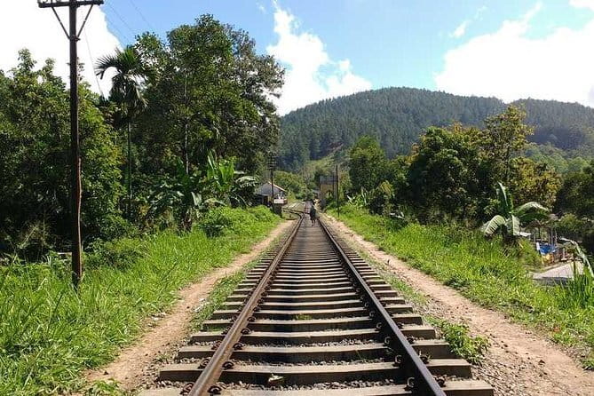 Ella Rock Hiking Tours ( sunrise-tour ,good morning tour,sunny afternoon tour ) - Who will enjoy this Ella Rock hike?