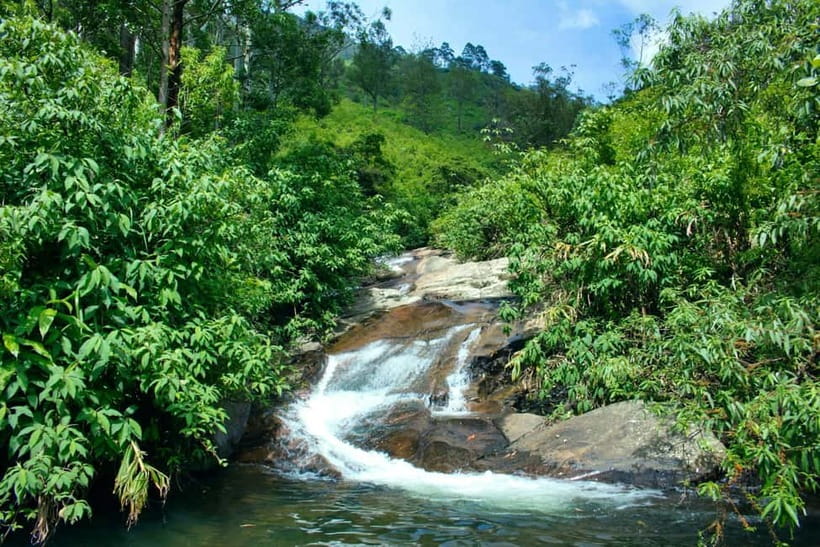 Ella: Waterfall hunting Hike to Bambarakanda and Lanka Falls - Who should book this hike?