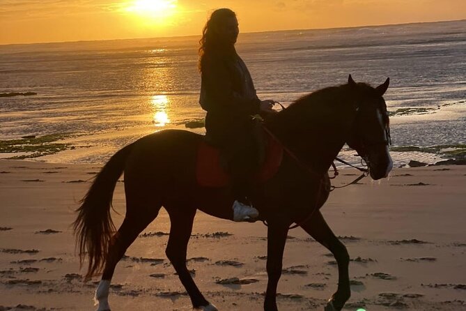 Essaouira Beach Horse Rides &Treks for All Levels - Key points to know before you book