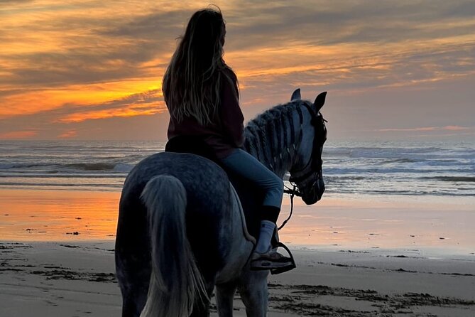 Essaouira Beach Horse Rides &Treks for All Levels - Meeting your horse and finding your pace