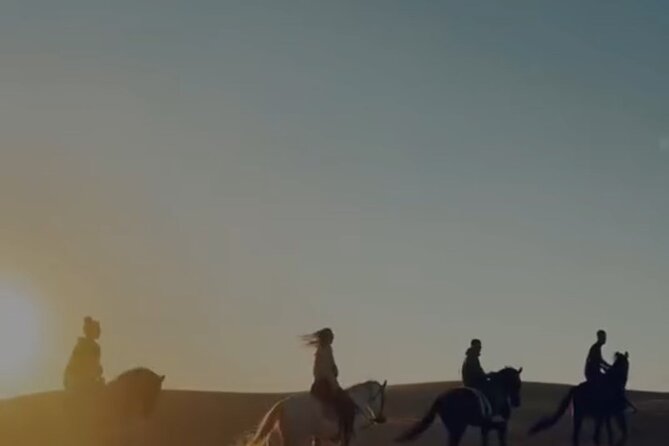 Essaouira Beach Horse Rides &Treks for All Levels - Riding Essaouira’s Atlantic beach