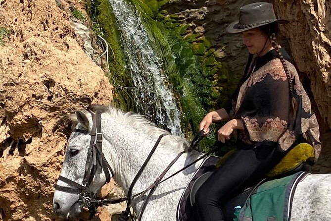 Essaouira Beach Horse Rides &Treks for All Levels - Photos, videos, and the tea afterward