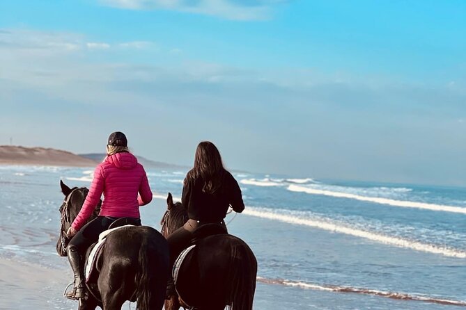Essaouira Beach Horse Rides &Treks for All Levels - One hour, two hours, or a longer trek