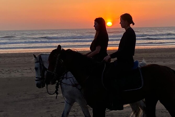 Essaouira Beach Horse Rides &Treks for All Levels - Who will enjoy this ride most