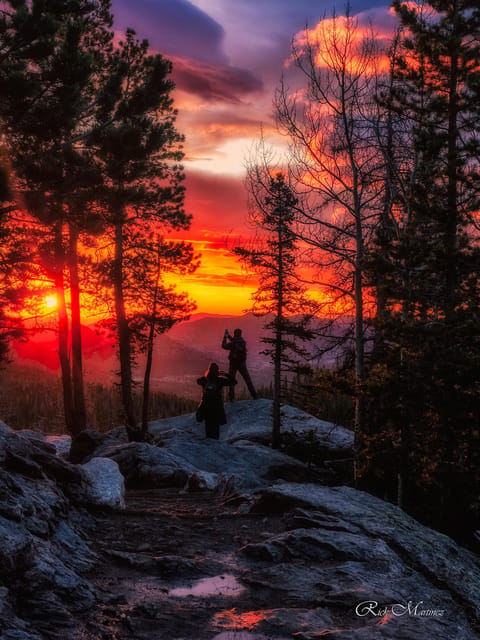 Estes Park: Rocky Mountain National Park Sunrise Hiking Tour - Through pine forest and alpine meadows