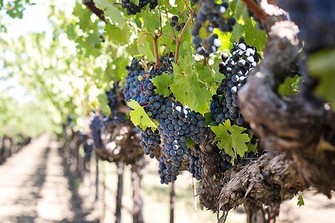 Etna trekking and wine tasting - The lava cave, helmets, and torches