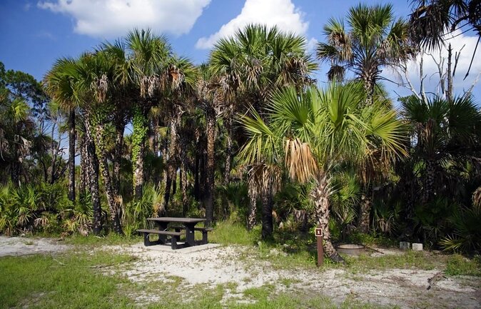 Everglades National Park Biologist Led Adventure: Cruise, Hike + Airboat - The early ride from Fort Lauderdale or Miami