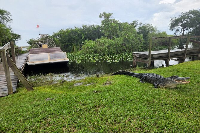 Everglades National Park Biologist Led Adventure: Cruise, Hike + Airboat - Big Cypress on foot and by van