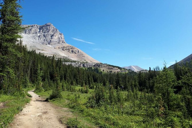 Exclusive Skoki Backcountry Guided Hiking in Lake Louise with Van Shuttle - Why the Skoki route feels different from Lake Louise