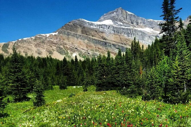 Exclusive Skoki Backcountry Guided Hiking in Lake Louise with Van Shuttle - A pace that depends on the whole group