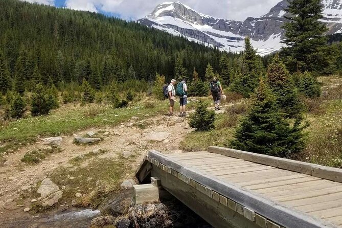 Exclusive Skoki Backcountry Guided Hiking in Lake Louise with Van Shuttle - Lunch beside the trail