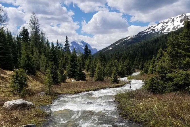 Exclusive Skoki Backcountry Guided Hiking in Lake Louise with Van Shuttle - Who should book this hike