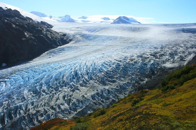 Exit Glacier Ice Hiking Adventure from Seward - Key points before you commit