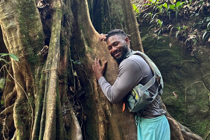 Explore El Yunque: Hiking, Swings & Waterslide (Small Group) - What the guides add to the experience