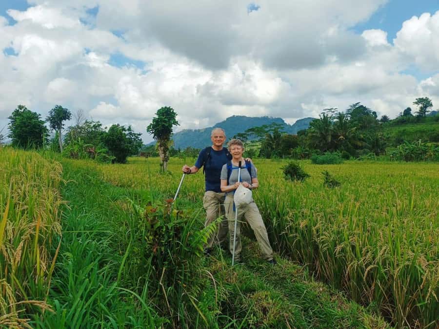 Explore rice terraces munduk & waterfall trekking experience - Why Munduk makes a good North Bali day trip