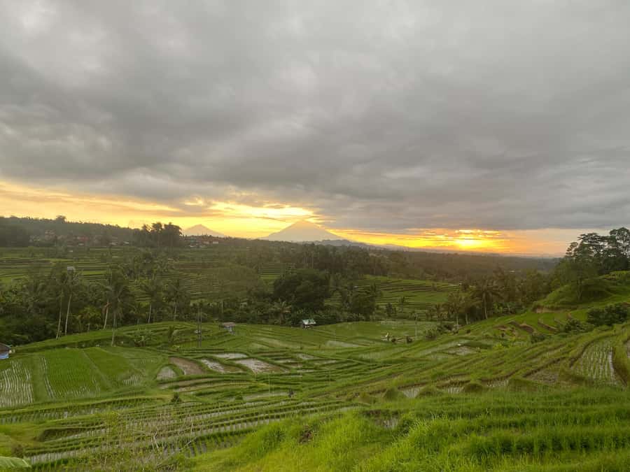 Explore rice terraces munduk & waterfall trekking experience - What $32 per person really includes