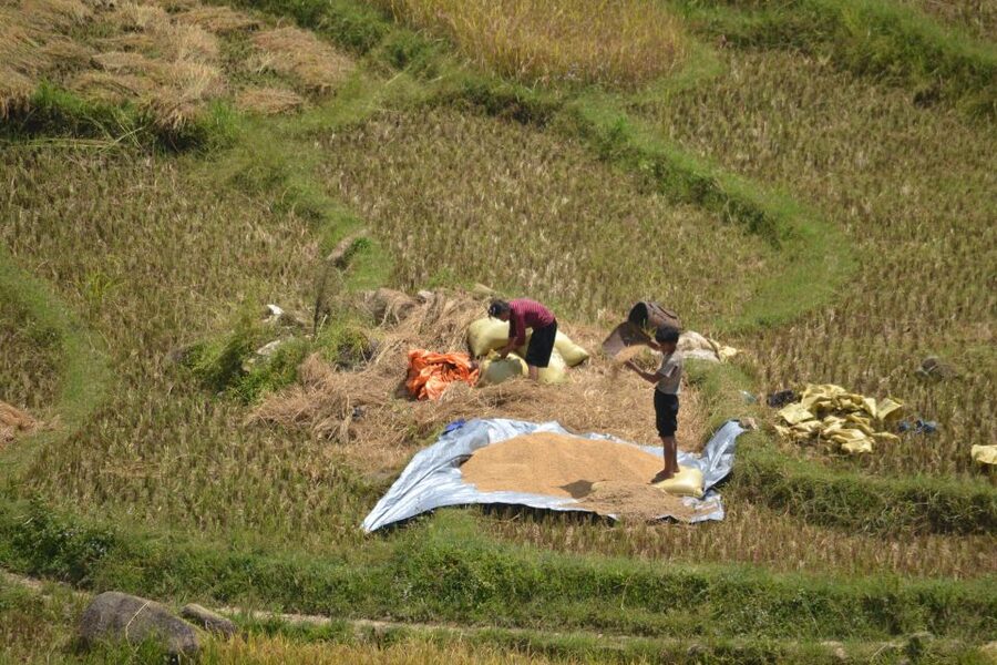 Explore Sa Pa with Overnight Train & Sleeper Bus & Trekking - Key points to know before booking