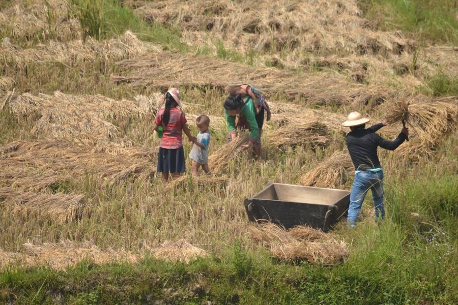 Explore Sa Pa with Overnight Train & Sleeper Bus & Trekking - Returning to Hanoi by sleeper bus