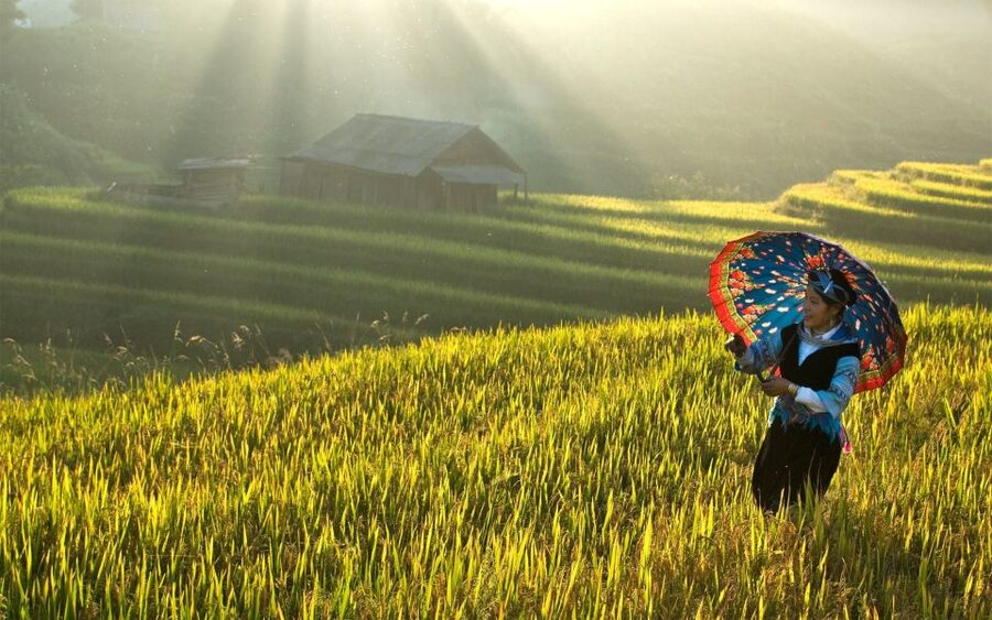 Explore Sa Pa with Overnight Train & Sleeper Bus & Trekking - Hanoi to Lao Cai by soft-sleeper train