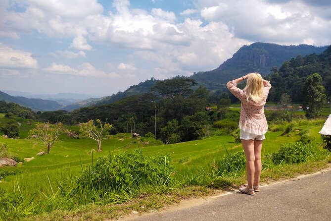 Explore the best of Ella. Hiking, waterfalls and cultural tour - Ella village temple and Buddhist ideas