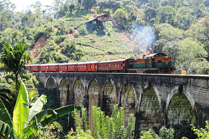 Explore the best of Ella. Hiking, waterfalls and cultural tour - The guides are a major part of the day