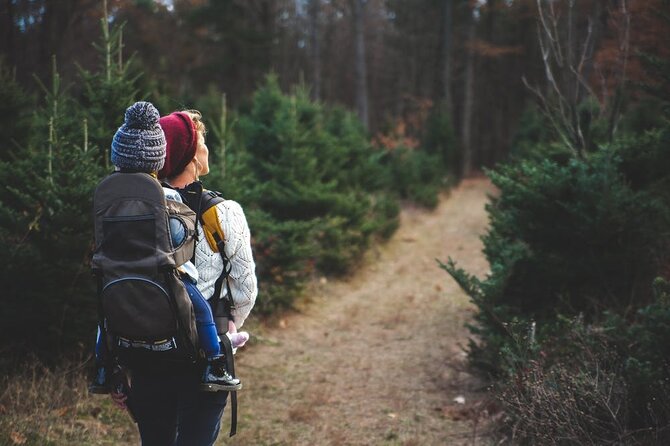 Family-Friendly Nature Hike around the Big Bear Valley - A gentle start on Mill Creek Road