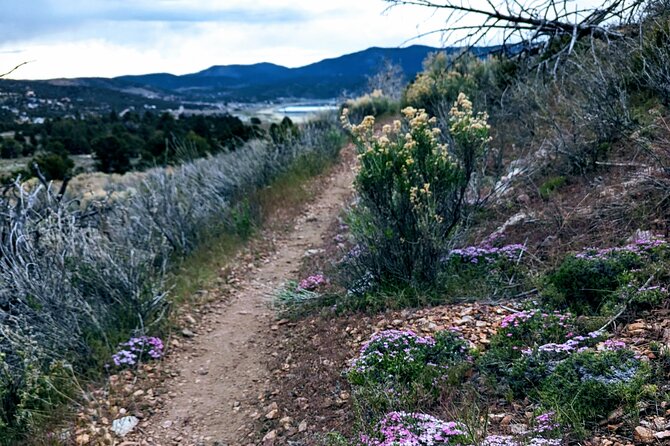 Family-Friendly Nature Hike around the Big Bear Valley - The trail’s higher point and Big Bear views