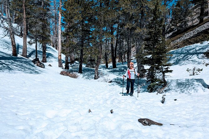 Family-Friendly Nature Hike around the Big Bear Valley - Who will get the most from this hike