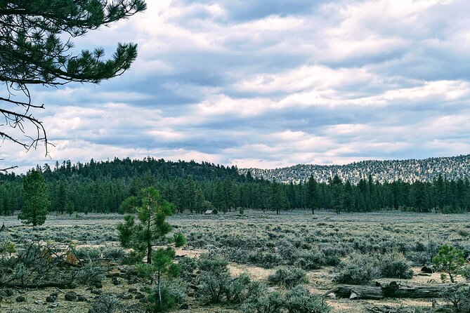 Family-Friendly Nature Hike around the Big Bear Valley - What $37 buys you