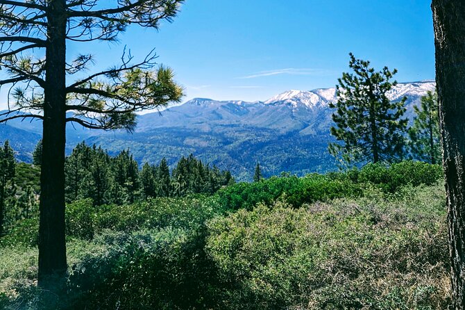 Family-Friendly Nature Hike around the Big Bear Valley - Practical planning for families