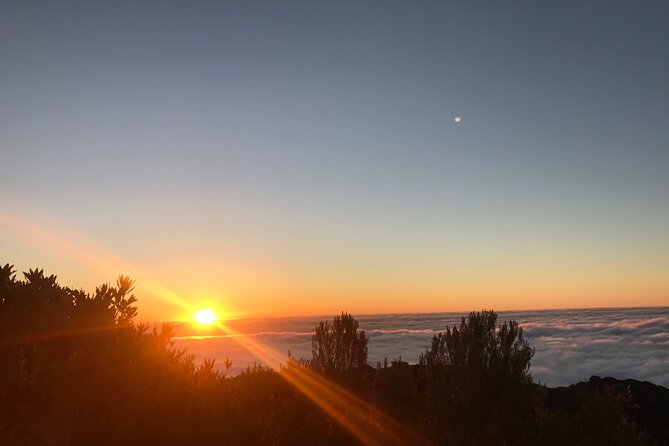 Fanal Forest Private Sunset Hike - A private group changes the whole walk