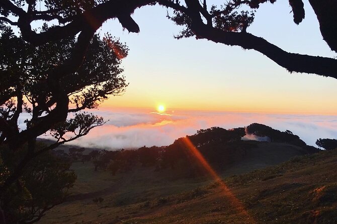 Fanal Forest Private Sunset Hike - Sunset, fog, and a flexible weather plan