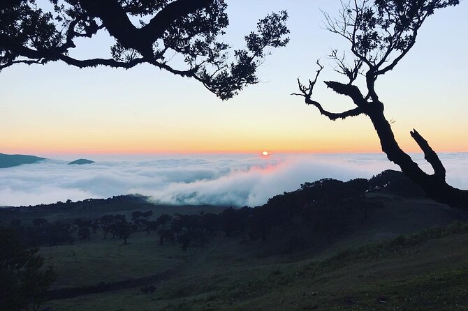 Fanal Forest Private Sunset Hike - Paulo’s local approach is the real advantage