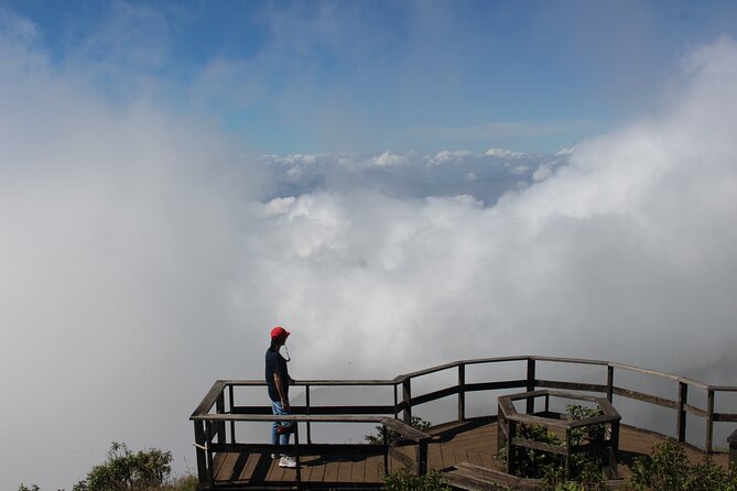 Fantastic! Famous Doi Inthanon National park tour with 2hr trekking - What the $50.64 price covers