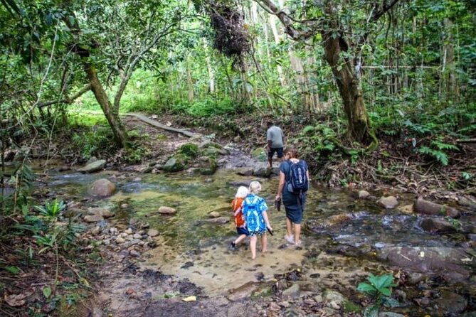 Fiji Adventure: Biausevu Waterfall & Dunes hiking Combo Tour! - Sigatoka Sand Dunes National Park