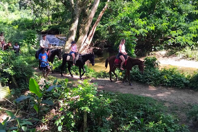 Fiji Adventure: Biausevu Waterfall & Dunes hiking Combo Tour! - How the two hikes compare