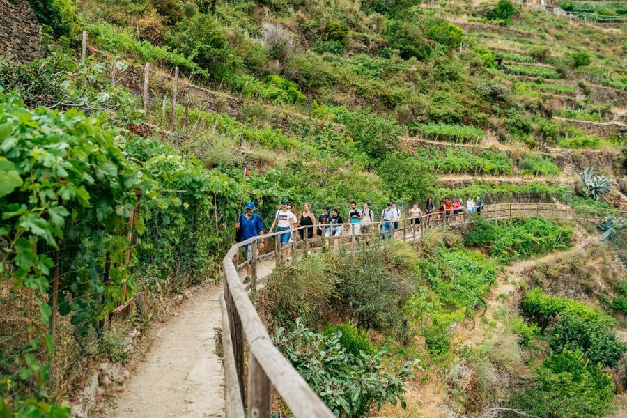 Florence: Cinque Terre Day Trip with Optional Hiking or Pisa - Key points to know before booking